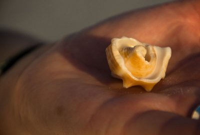 Gold in the hand