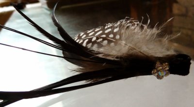 Two kinds of feathers