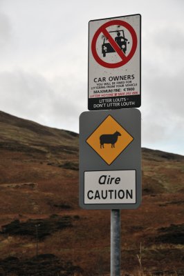 Priority for sheep
