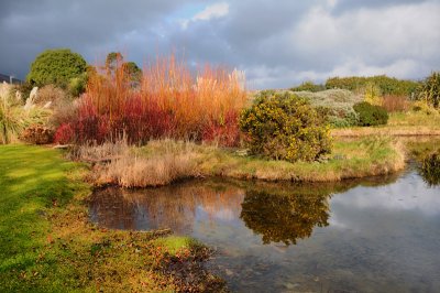 The pond at Ghan House