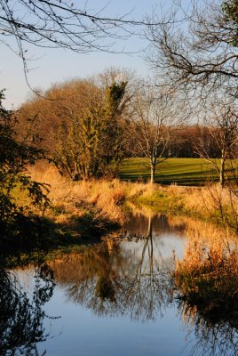 Pond on a sunny spring evening