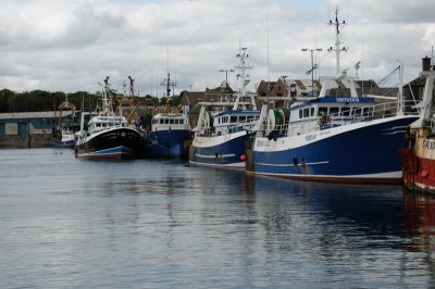 Virtuous in the harbour