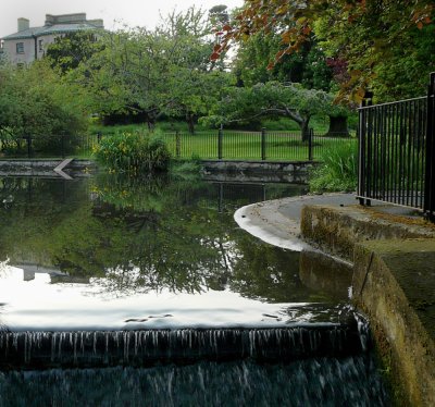 Reflections in the pond