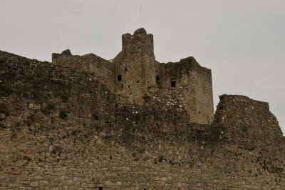 Trim Castle