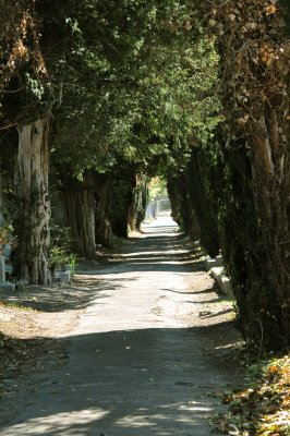 Avenue 1.jpg