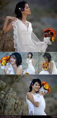 Joyce-Collage-001.jpg