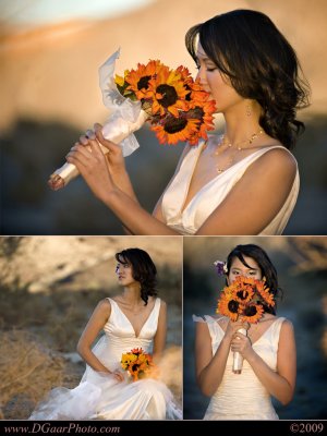 Joyce-Collage-02.jpg