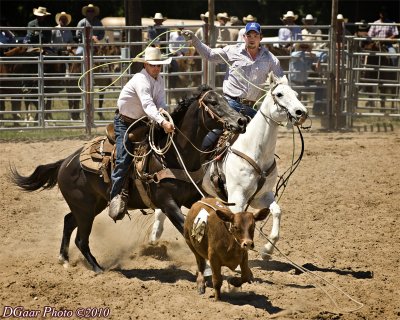 Texas Rodeo