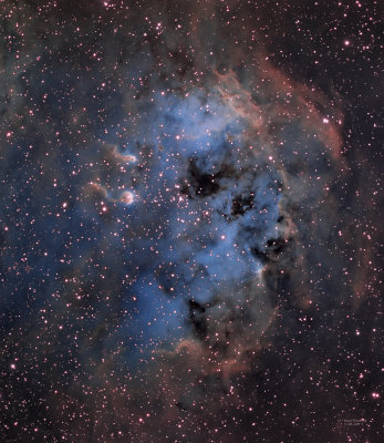 SH2-236