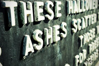 these ashes