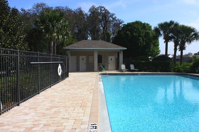 Pool Edge.JPG