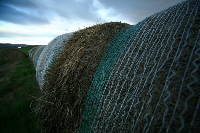 Hraunsneff, bales of hay, 4-6 - 093.JPG