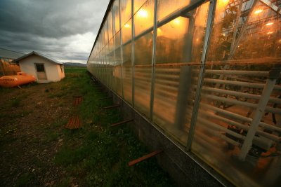 Varmaland greenhouses, 5-6 - 533.JPG