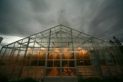 Varmaland greenhouses, 5-6 - 546.JPG