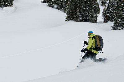 April Powder Day at Montgomery Pass