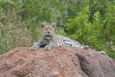 DSC_9132.jpg