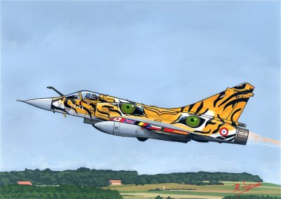  	Dassault Mirage 2000 C RDI S5