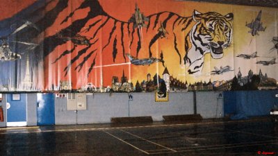 Fresque du Tiger meet 2003