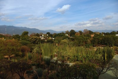 Jardin botanique