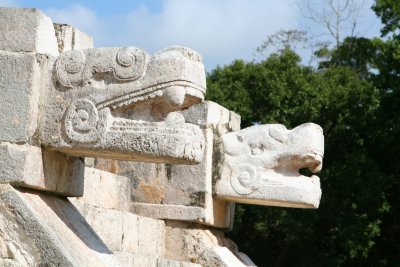 Serpents