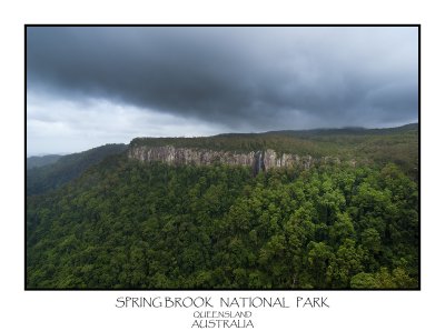 SPRINGBROOK