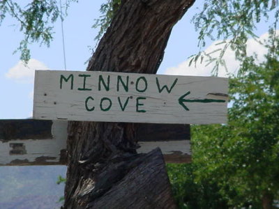 Minnow Cove