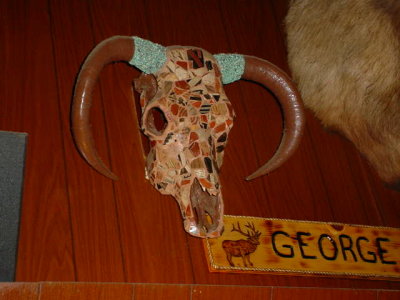 longhorn skull