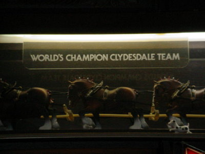 Budwieser Clydesdale team