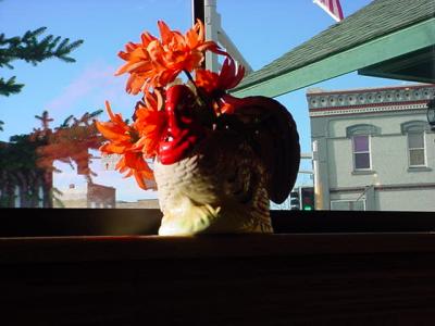 chicken in the window