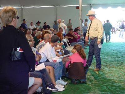 spectators at the auction