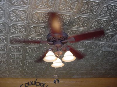 rotating ceiling fan