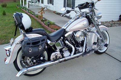 Tims Harley softail