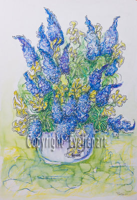 Blue Lupins