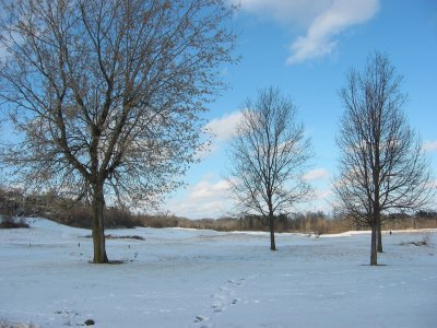 g3/47/940547/3/121599411.T527M5e7.jpg