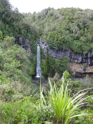 Dawson Falls. New Zealand