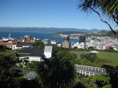 View from the Botanic Gardens