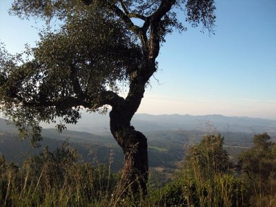 Romanya de la Selva.Serra de les Gavarres