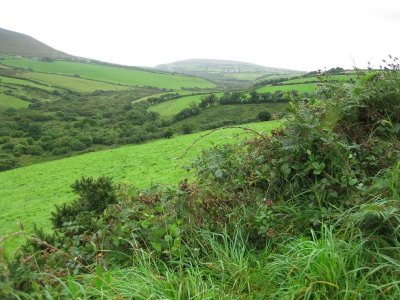 Dingle Peninsula