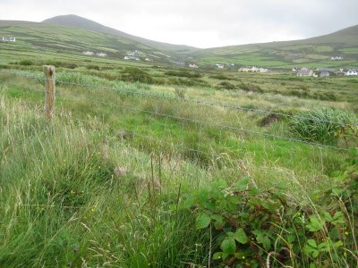 Dingle Peninsula