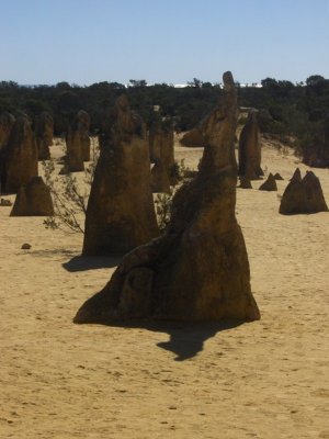 The Pinnacles.Kangaroo