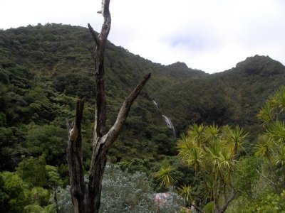 Waitakere Ranges