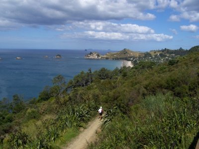 Hahei Beach