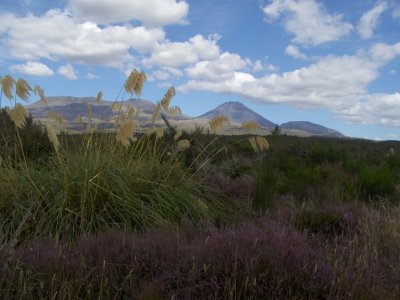 Tongariro National Park