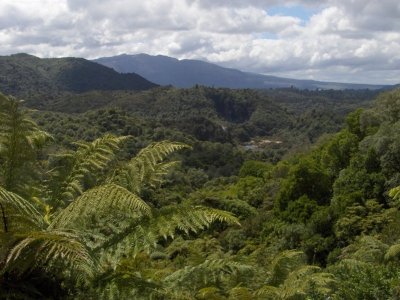 Waimangu Volcanic Valley