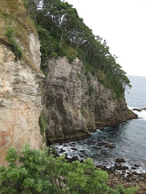 Hahei Coastline