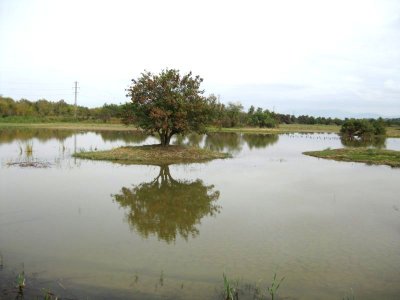 Parc N. dels Aiguamolls de L´Empordá
