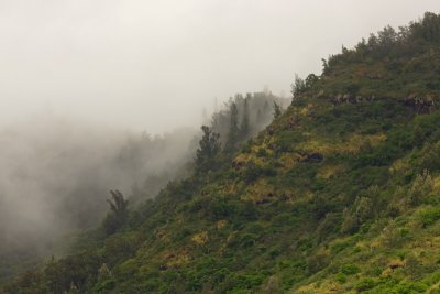 Approaching Kuliouou mist