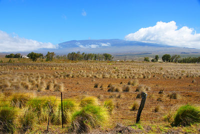 Mauna Kea from Waimea