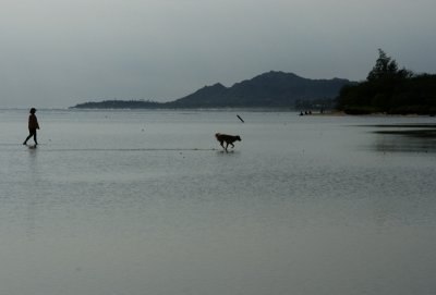 Silhouette Maunalua Bay - A lady and her dog