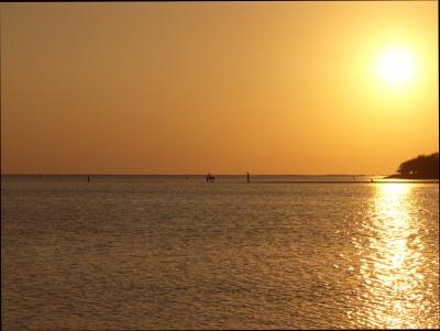 Beachcombers in the sunset